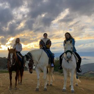 9 Января Селена в истории Инстаграма Анны Коллинс