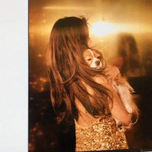 17 Января @freshlikefreddy на Инстаграме: Делаю модельную стойку гав