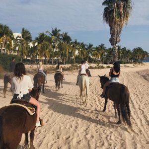 11 Февраля @ashley_cook на Инстаграме: Выходные мечты в честь единственной и неповторимой КДБ