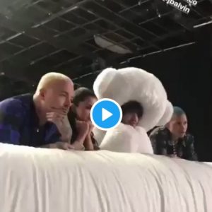 20 Февраля Селена в истории Инстаграма