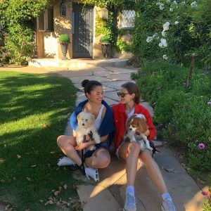 23 июня @annaballins на Инстаграме: Ваши районные мамы щенков 👍