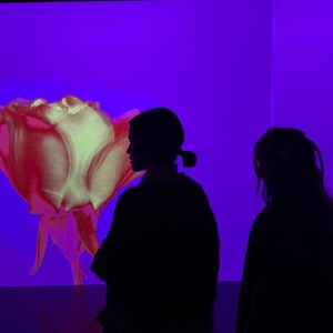 24 Января: новое фото из историй Инстаграма Селены